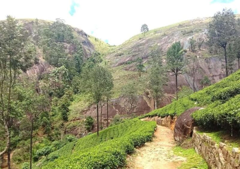 Pekoe Trail Stage 9 Guided Hike (Bogawantalawa-Dayagama) - Key Points