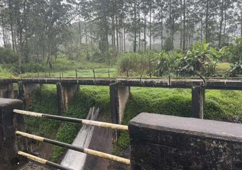 Pekoe Trail Stage 9 Guided Hike (Bogawantalawa-Dayagama) - The Itinerary: An In-Depth Look