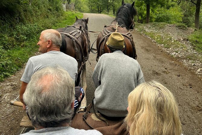 peles-castle-and-authentic-romanian-village-experience-day-trip