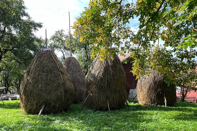 peles-castle-and-authentic-romanian-village-experience-day-trip