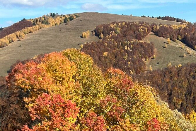 peles-castle-and-authentic-romanian-village-experience-day-trip