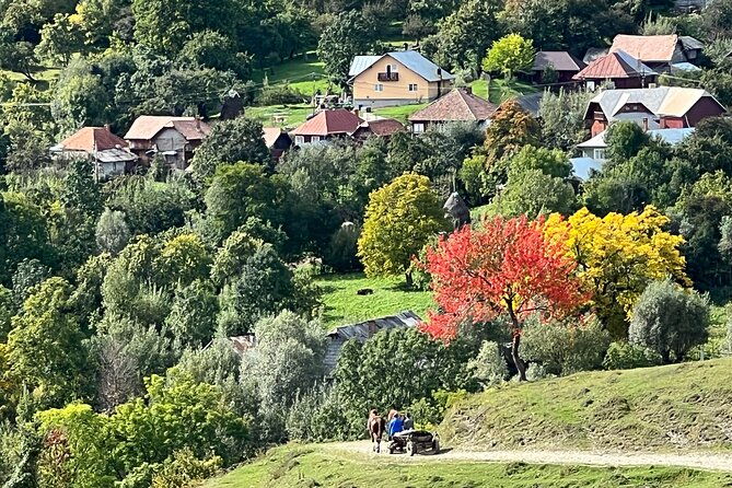 peles-castle-and-authentic-romanian-village-experience-day-trip