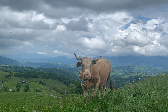peles-castle-and-authentic-romanian-village-experience-day-trip