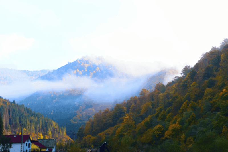 peles-castle-carpathianroyal-journey-through-the-mountains