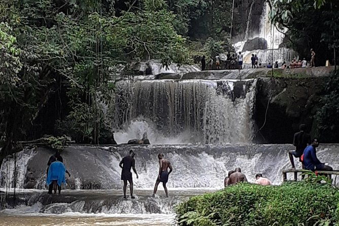 pelican-bar-appleton-rum-tour-ys-falls-jamaica-south-coast-experience-montego