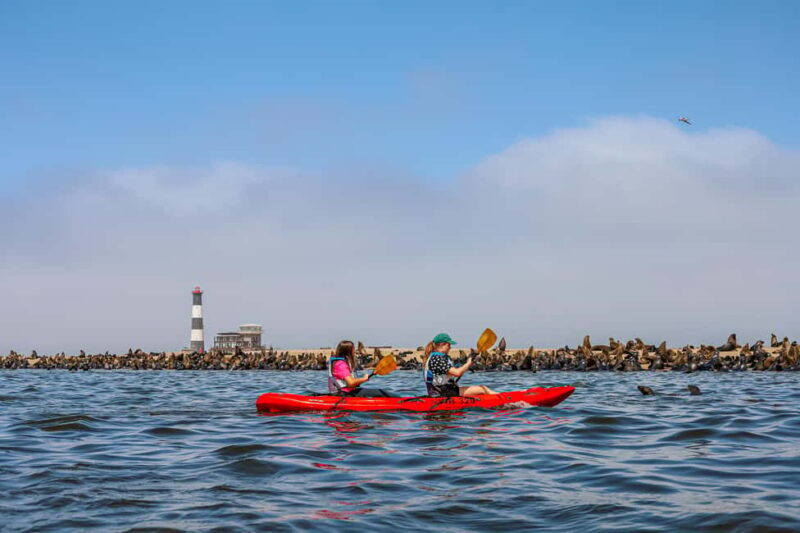 Pelican Point: Kayak with Seals Experience - Who Will Love This Experience?