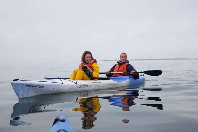 Pelican Point Kayaking Half-Day Tour - An In-Depth Look at the Pelican Point Kayaking Tour
