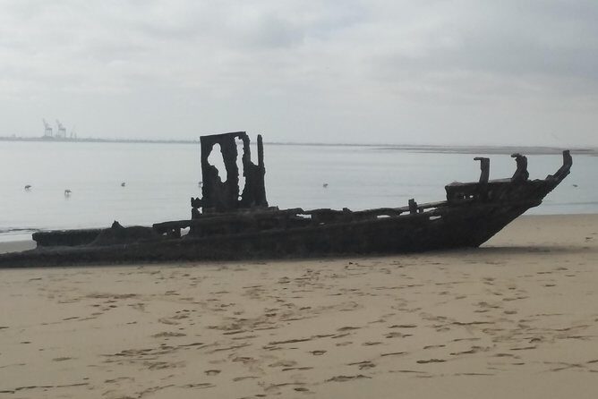 Pelican Point Seal Colony 4x4 Tour - Frequently Asked Questions