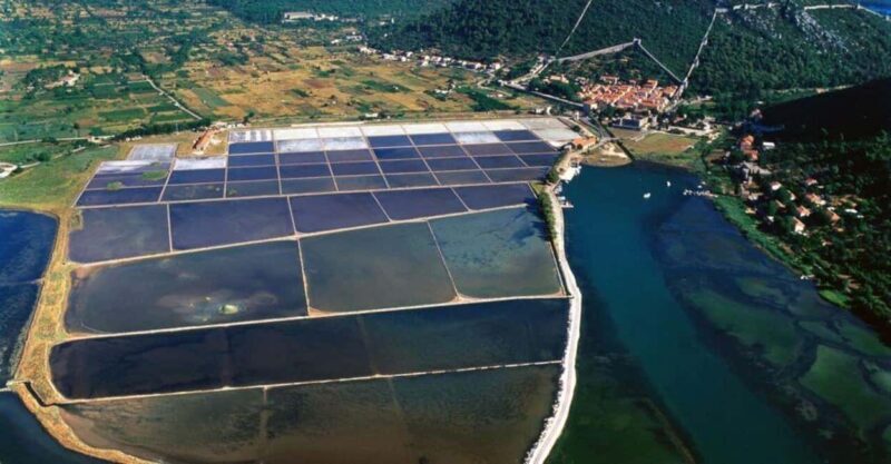 Peljeac Wine & Oyster Tasting Private Tour - Fresh Oysters Straight from the Bay in Ston