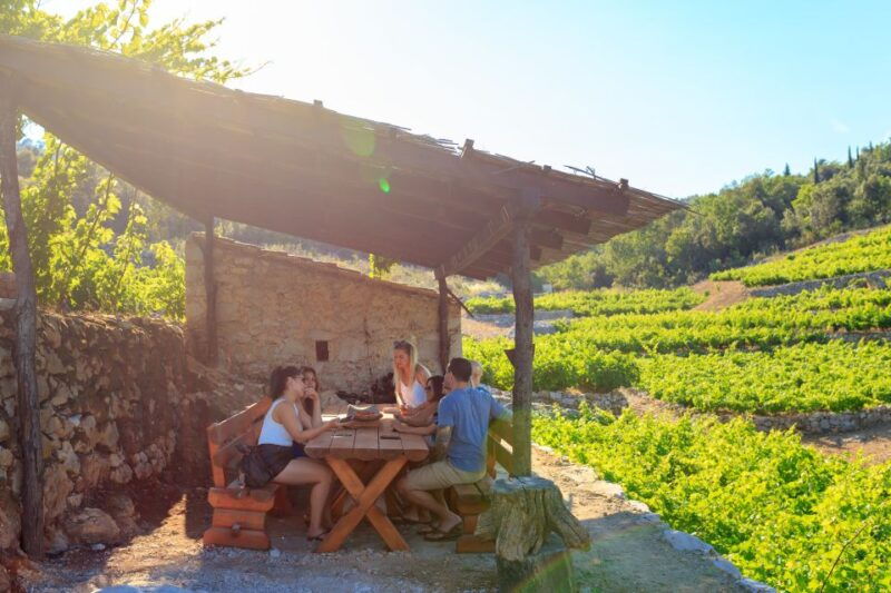 peljesac-full-day-wine-and-food-tour-from-dubrovnik