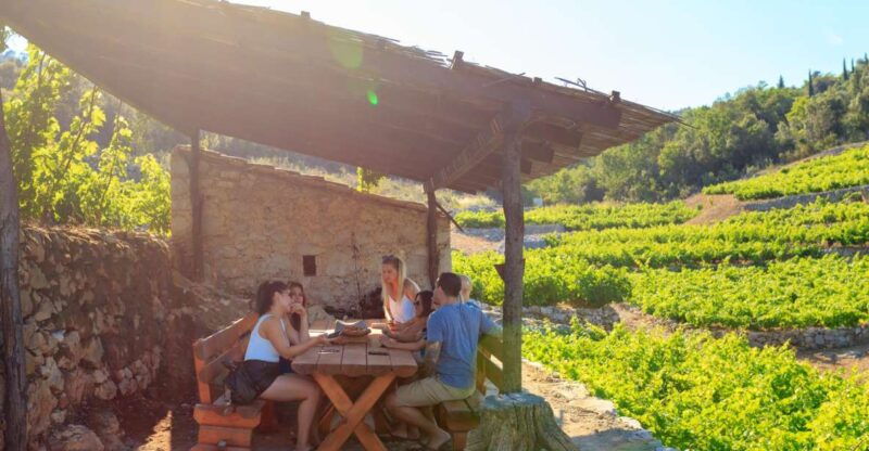 peljesac-full-day-wine-and-food-tour-from-dubrovnik