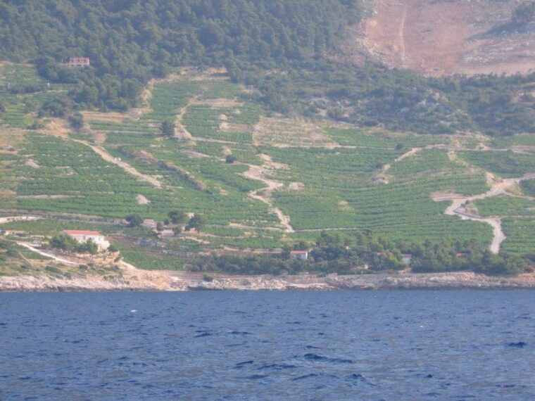 peljesac-peninsula-korcula-island-day-trip-from-dubrovnik