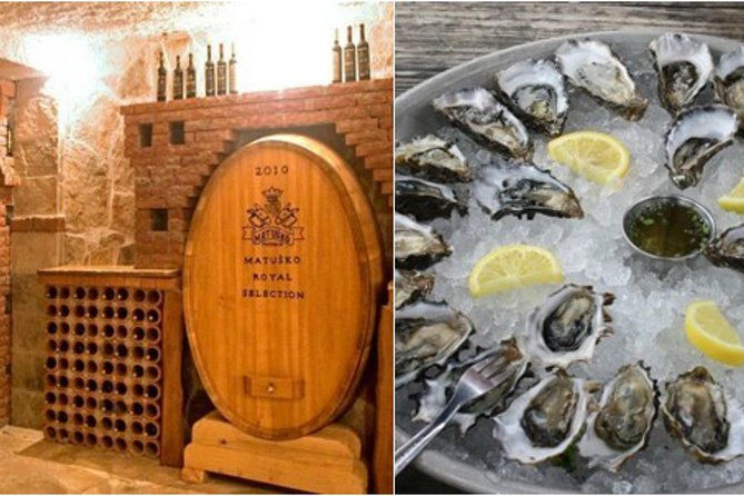 peljesac-peninsula-wine-tasting-luxury-tour-from-dubrovnik