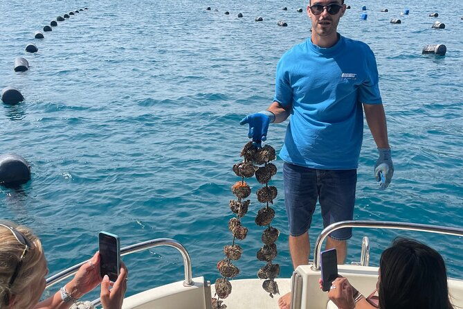 peljesac-wine-oysters-and-food-tour-from-dubrovnik-2