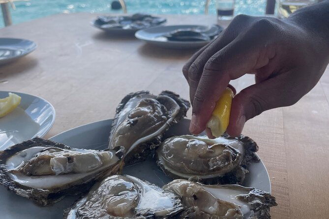 peljesac-wine-oysters-and-food-tour-from-dubrovnik-2