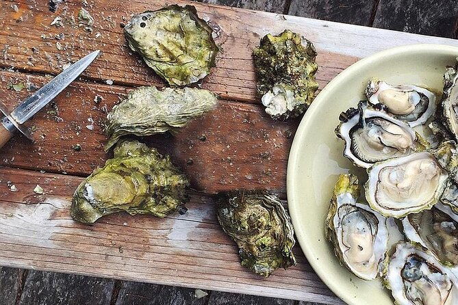 peljesac-wine-ston-oysters-private-half-day-shore-tour