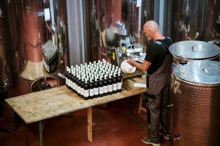 peljesac-wine-tasting-and-local-winery-visit