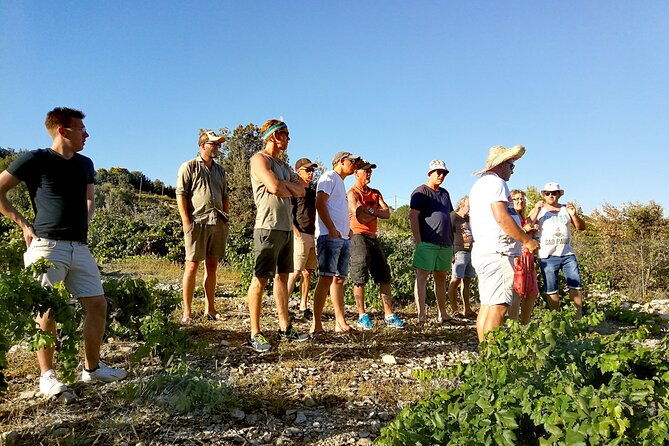 peljesacston-small-group-food-wine-experience-from-dubrovnik