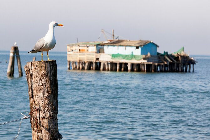 pellestrina-bike-hopping-around-the-venice-lagoon-islands
