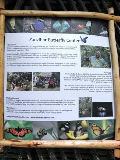 Pemba Island: Butterfly Sanctuary Tour - Key Points