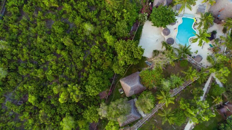 Pemba Island: Eco Lodge Tour with Sandbank Picnic - Returning to the Eco Lodge: A Gentle Wind-Down