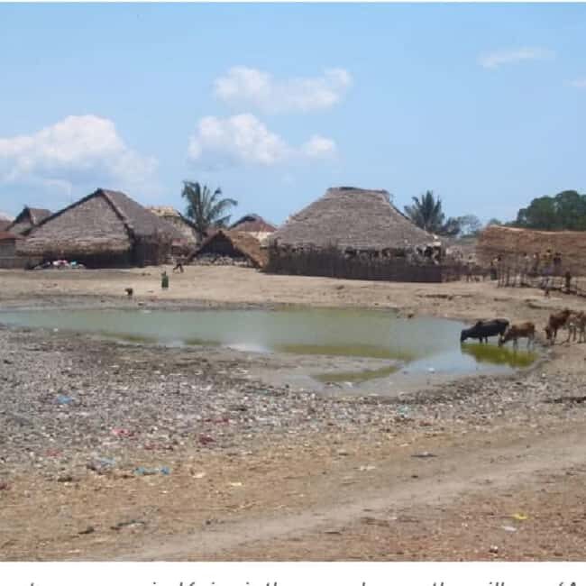 Pemba Island: Kojani Island and Mnarani Ruins Tour - Exploring Kojani Island: A Window into Maritime Traditions