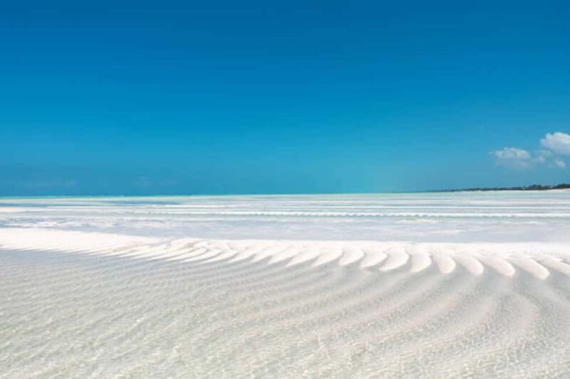 Pemba Island: Ngezi Forest and vumawimbi beach Tour - Practical Details and What to Expect