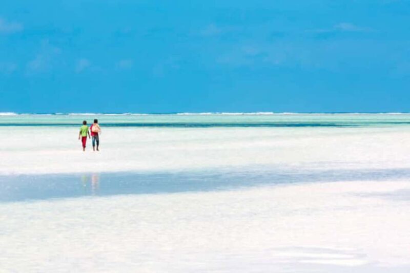 Pemba Island: Ngezi Forest and vumawimbi beach Tour - Why This Tour Is Worth Considering