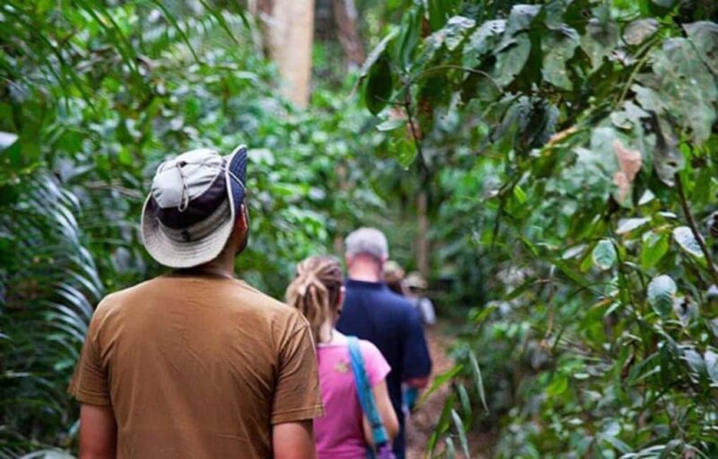 Pemba Island: Ngezi Forest Tour - FAQ