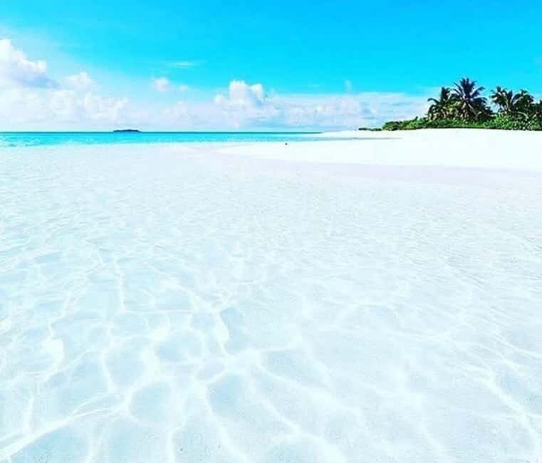 Pemba Island: Spice Farm, Vumawimbi Beach, & Mnarani Tour - Final Thoughts