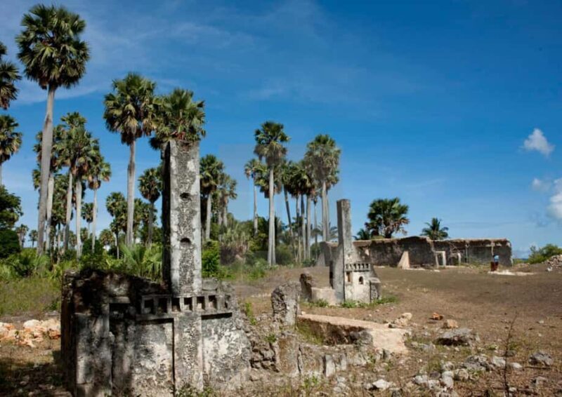 Pemba: Mystical Caves and Spice Forest Adventure - Final Thoughts