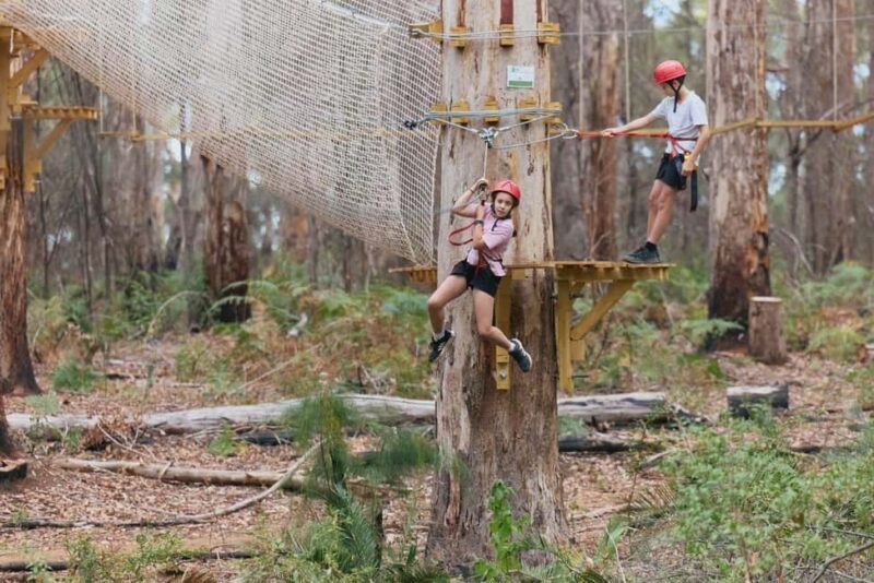 Pemberton: 1 Hour Explorer Pass with Ziplines and High Ropes - What This Experience Offers