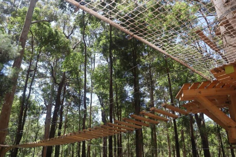 Pemberton: 1 Hour Explorer Pass with Ziplines and High Ropes - FAQ