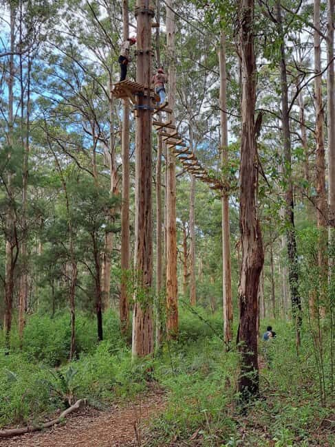 Pemberton: 2.5h Ultimate Ziplines & High Ropes Experience - Exploring the Experience in Detail