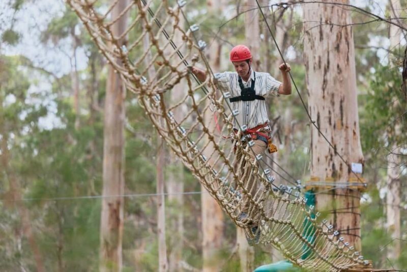 Pemberton: 2.5h Ultimate Ziplines & High Ropes Experience - Authentic Reviews & Insights