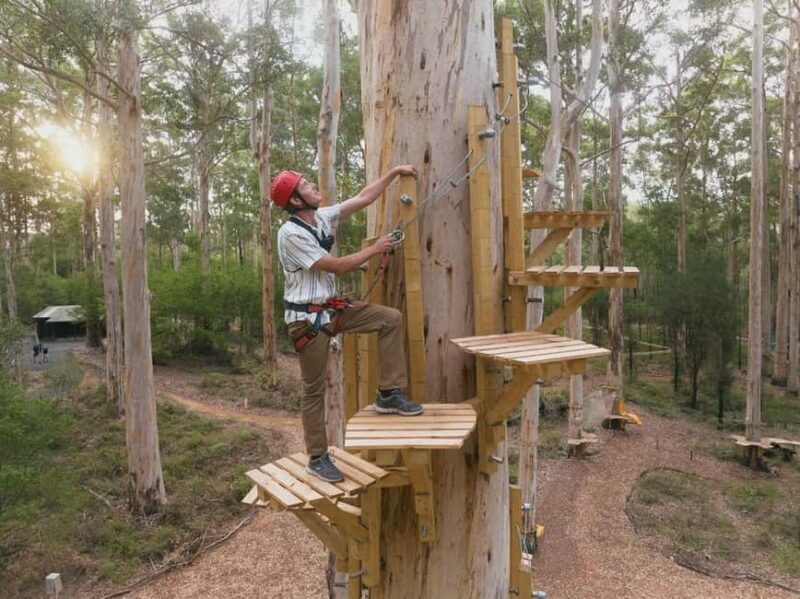 Pemberton: 2.5h Ultimate Ziplines & High Ropes Experience - The Sum Up
