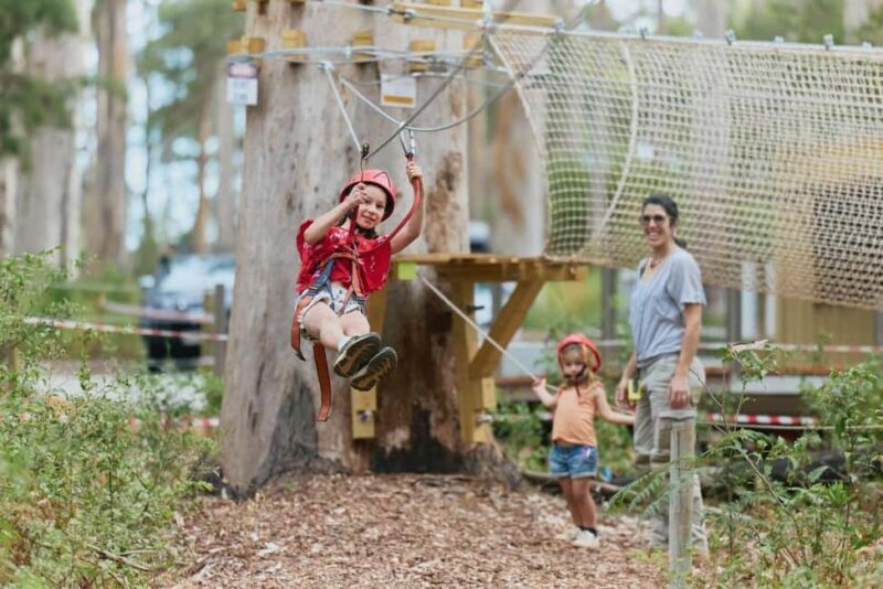 Pemberton: 40 minute Kookies Pass with Zip Lines & Low Ropes - Discovering the Kookies Pass Experience