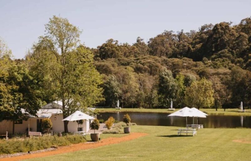 Pemberton: Ampersand Estates Wine Tasting Experience - Key Points