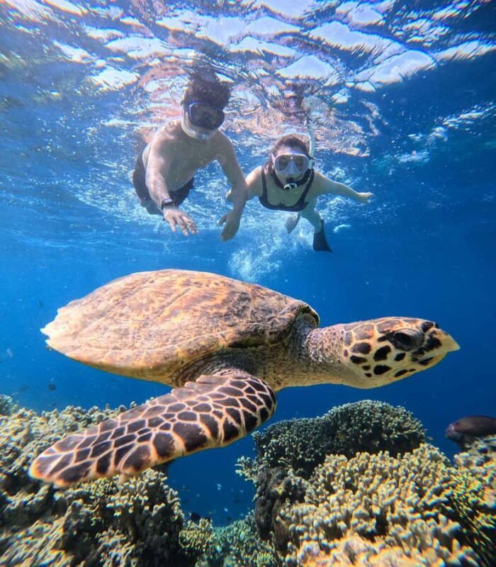 Pemuteran Bali: Menjangan Island Snorkeling Trip with Lunch - FAQ