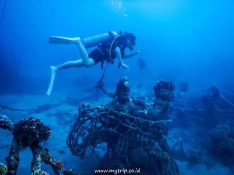 Pemuteran: Biorock Dive Master Internship - Key Points