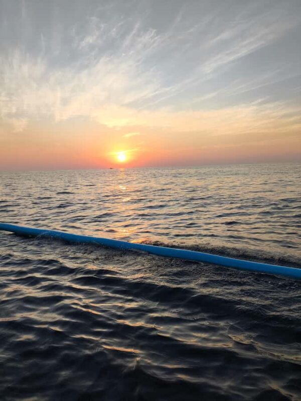 Pemuteran: Dolphin Watching Tour with Hotel Transfer - An In-Depth Look at the Pemuteran Dolphin Watching Experience