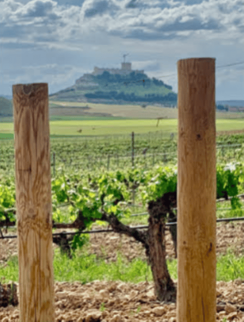 penafiel-private-visit-to-the-castle-and-historic-center