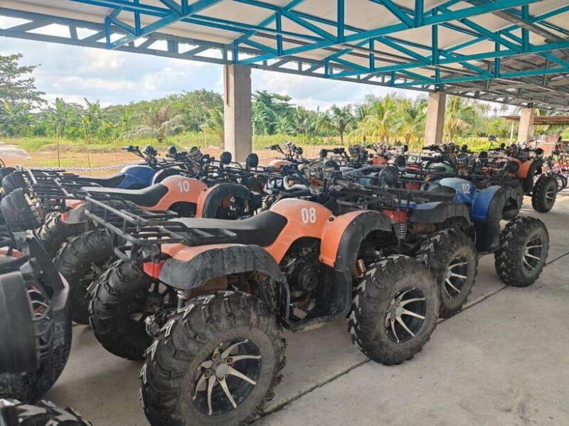Penang: ATV Ride in Balik Pulau with Snacks and Transfers - Key Points