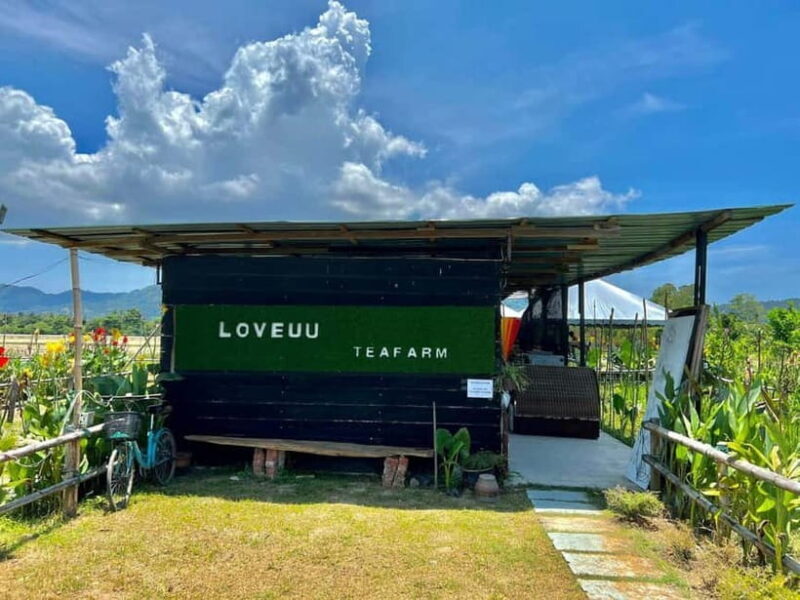 Penang: ATV Ride in Balik Pulau with Snacks and Transfers - Value and Cost Analysis