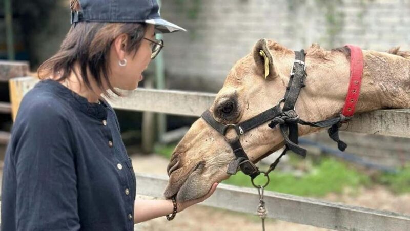 Penang: Balik Pulau Batik Painting & Mini Zoo Petting - Duration and Flexibility