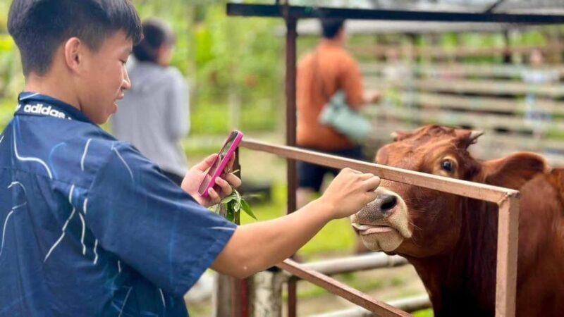 Penang: Balik Pulau Batik Painting & Mini Zoo Petting - Who Will Love This Tour?