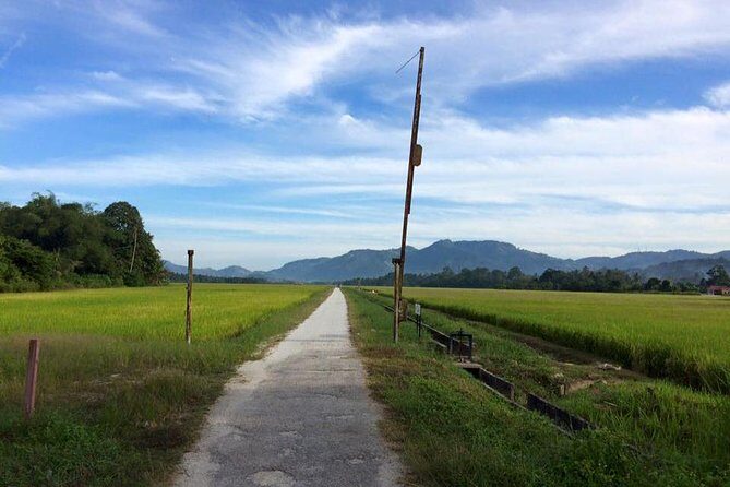 Penang Balik Pulau Countryside Morning Cycling with Transfers - Discovering Balik Pulau’s Charm
