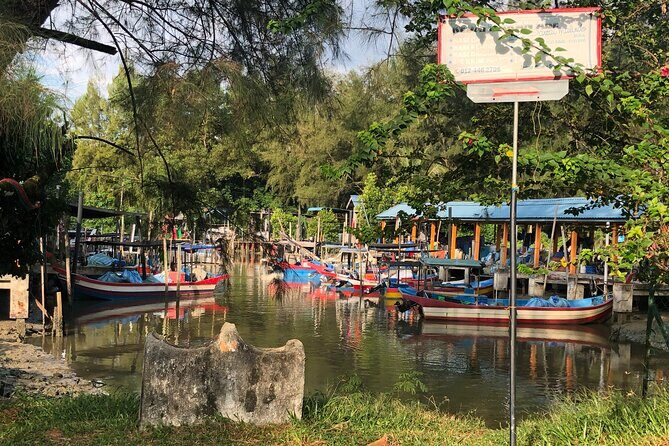 Penang Balik Pulau Countryside Morning Cycling with Transfers - Who Should Consider This Tour?