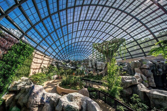 Penang City and Entopia Butterfly Farm Tour - An In-Depth Look at the Tour Experience