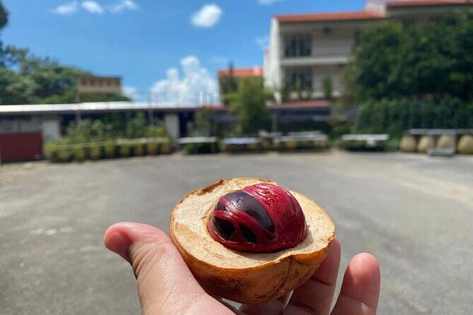 Penang countryside Balik Pulau Half Day Tour - Practical Details and What to Expect